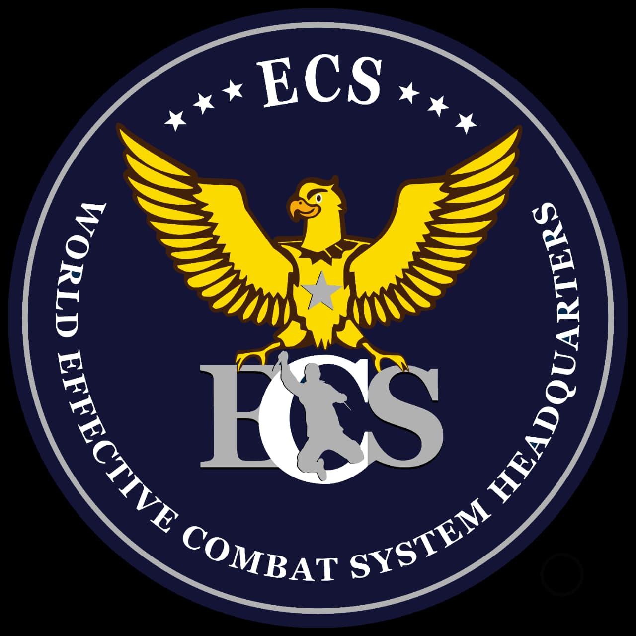 ECS